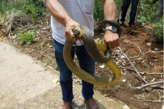 河南之光，高科技产品引领未来，科技重塑生活体验